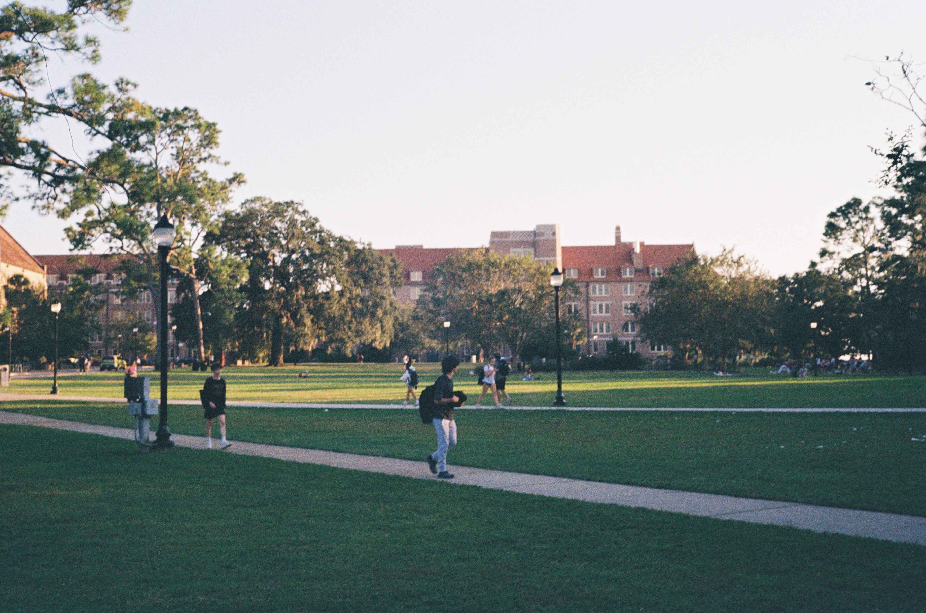 landis green 🏫