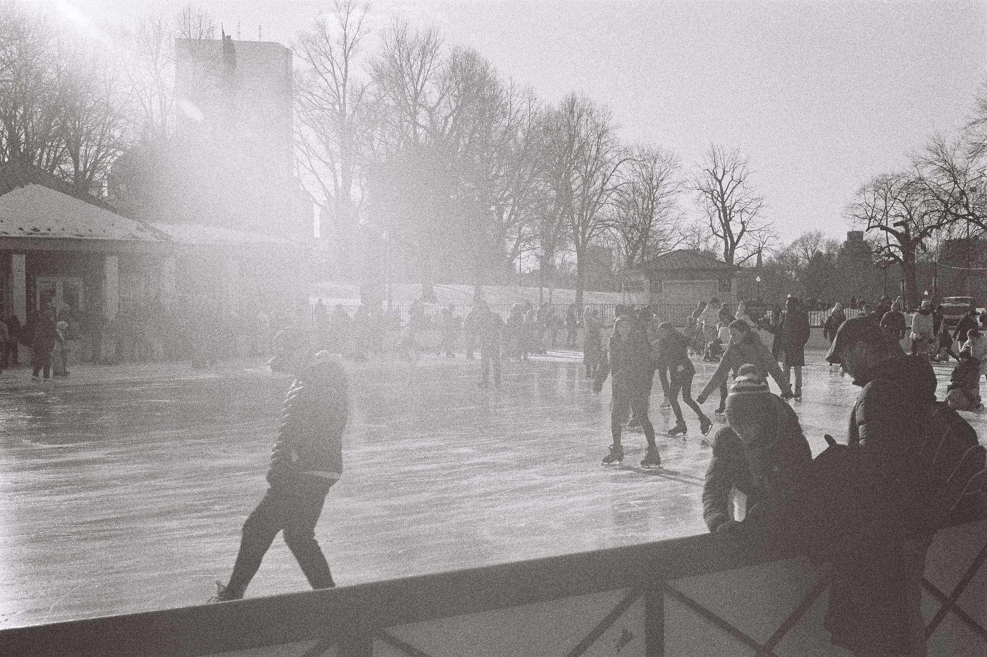 slow down! ⛸️
