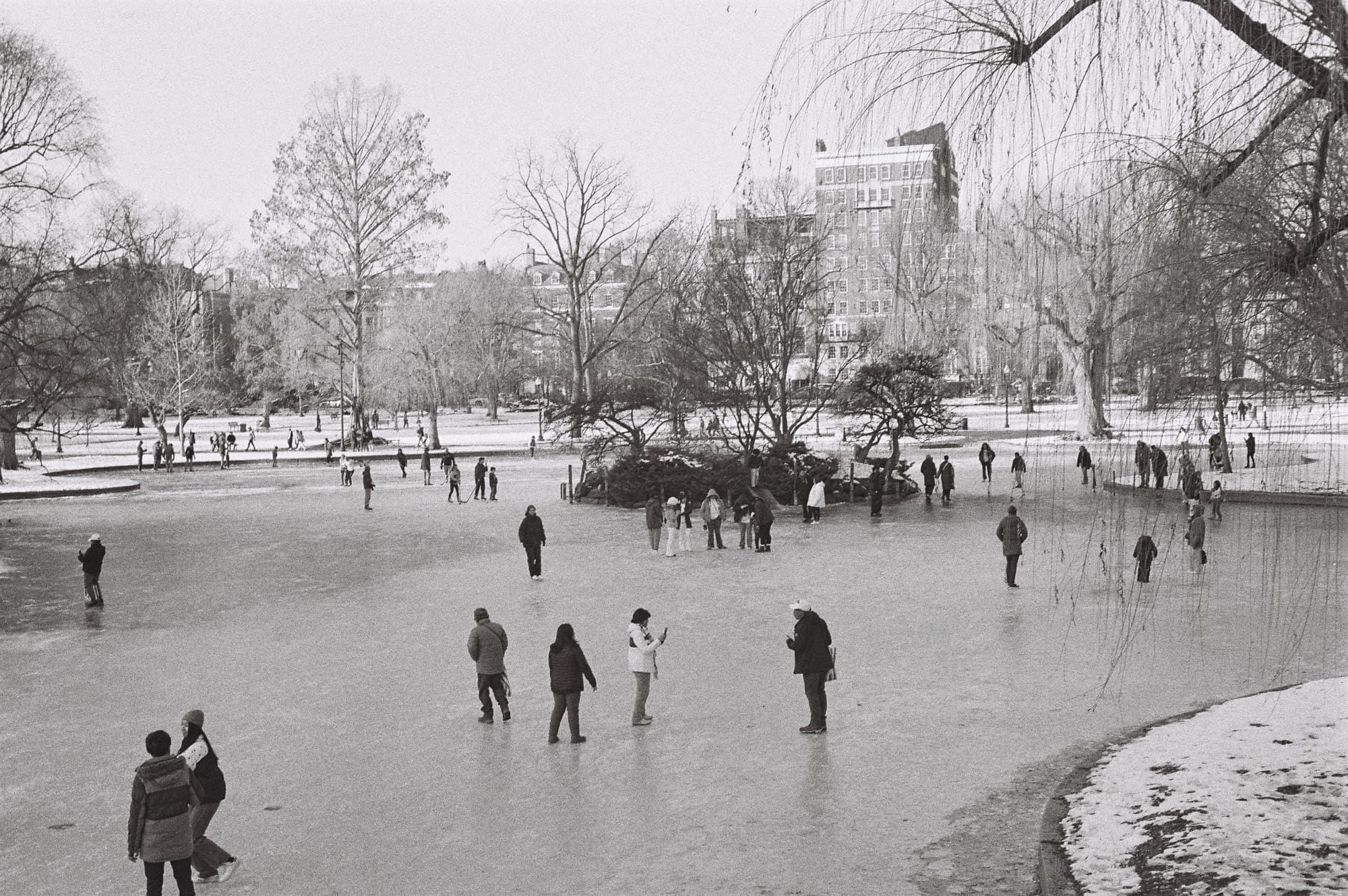 boston common ☃️