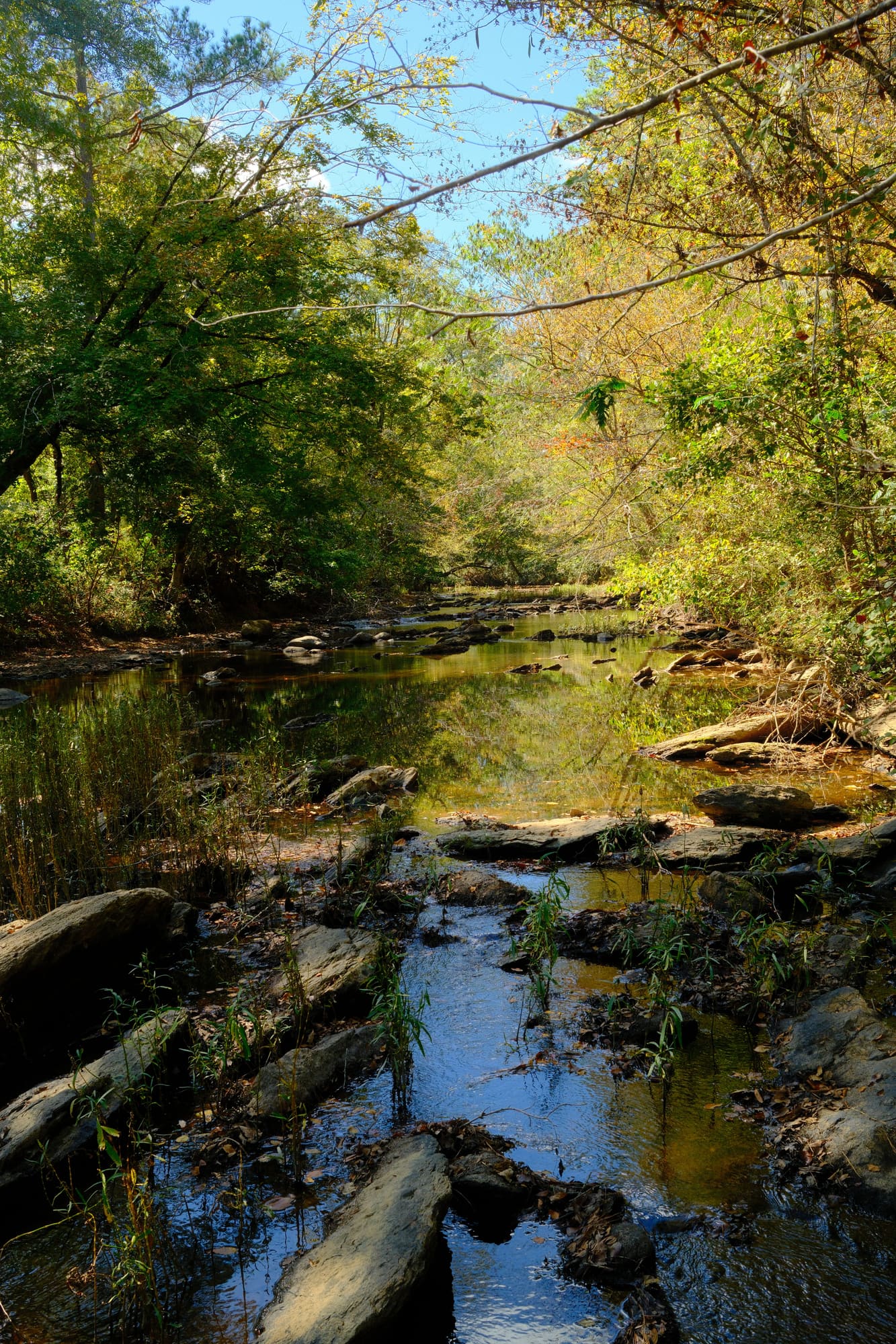 A serene river scene in rural Alabama