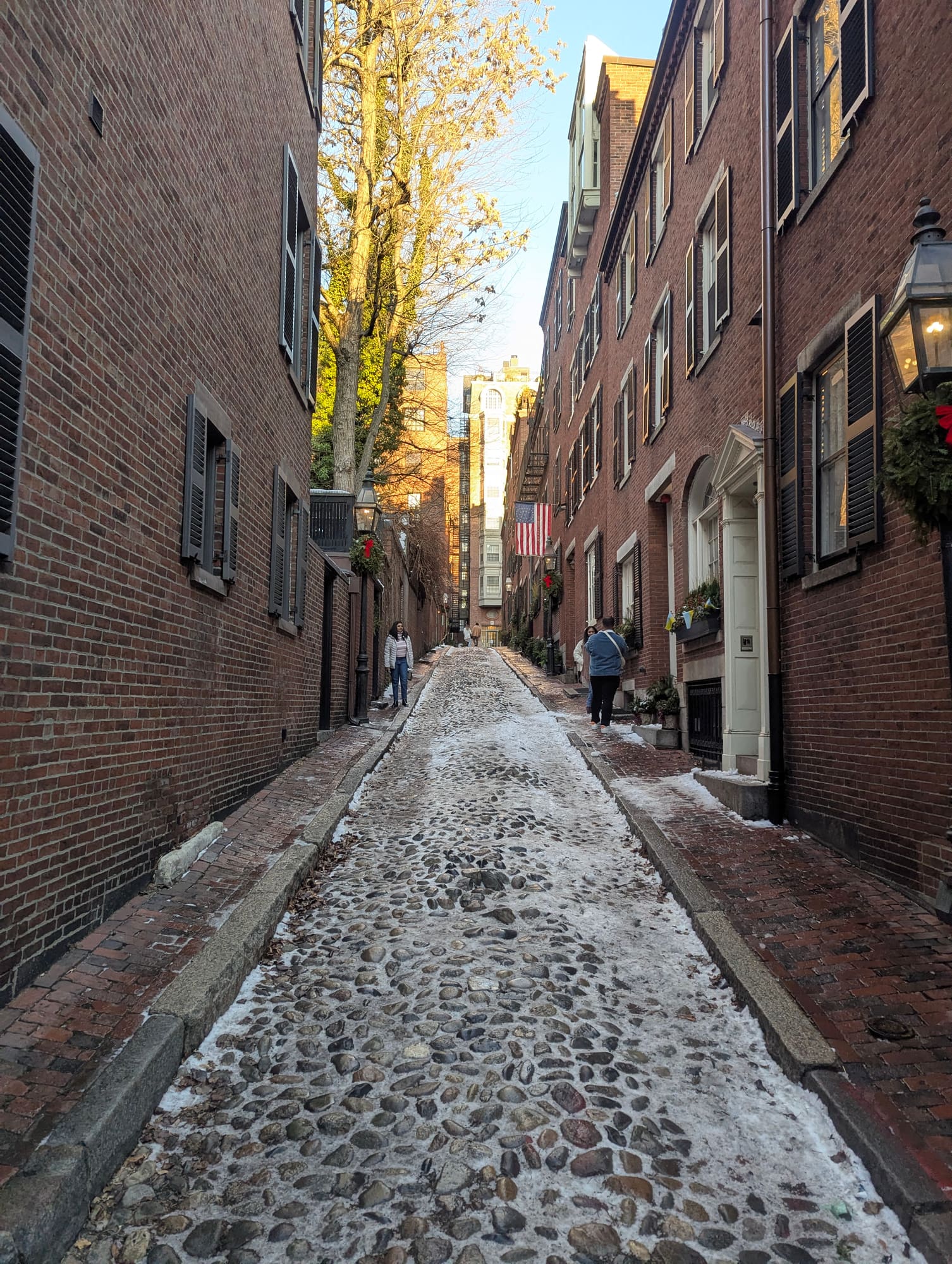 acorn street 🍁