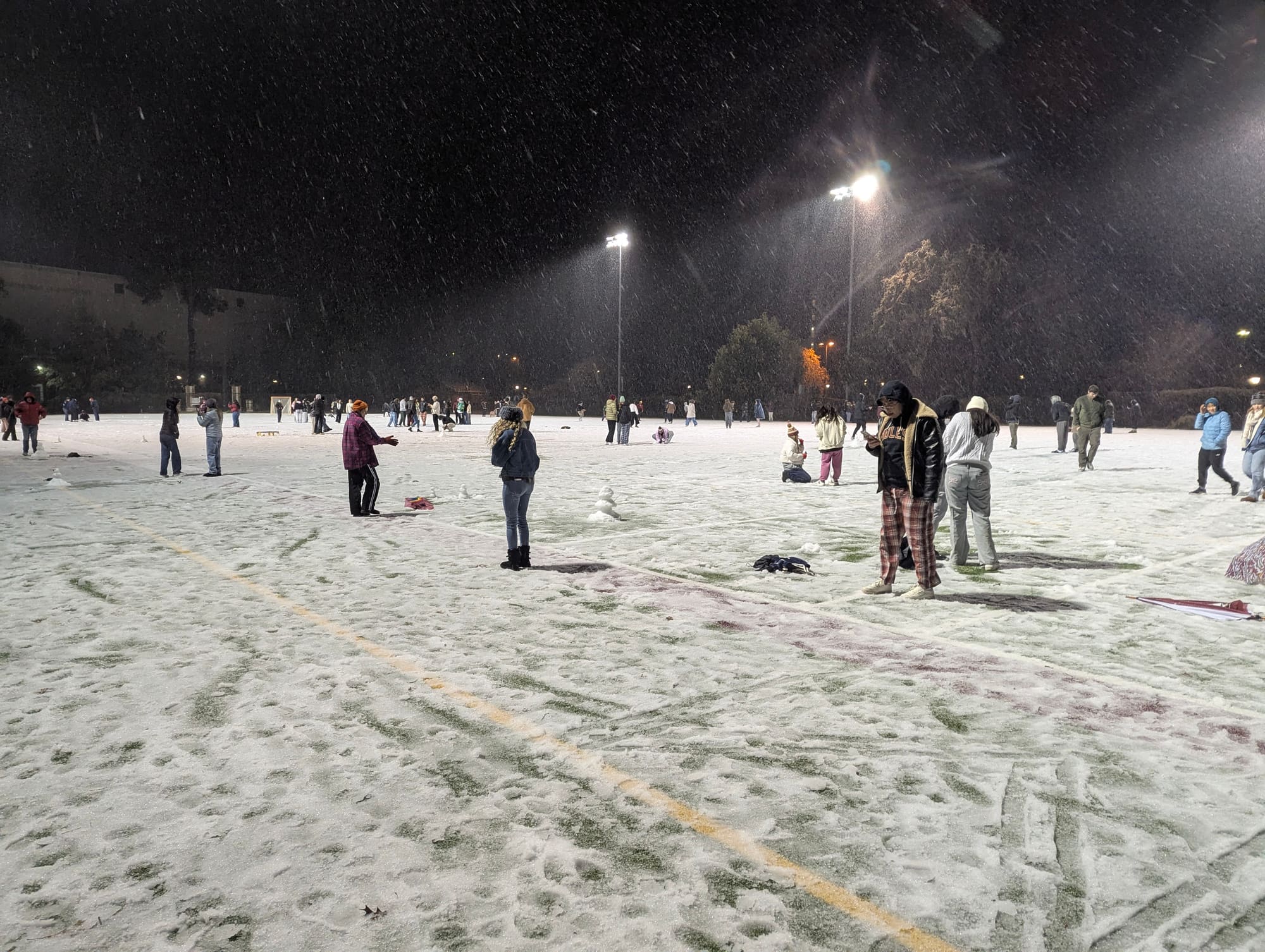 SCP1041: floridian snow ❄️